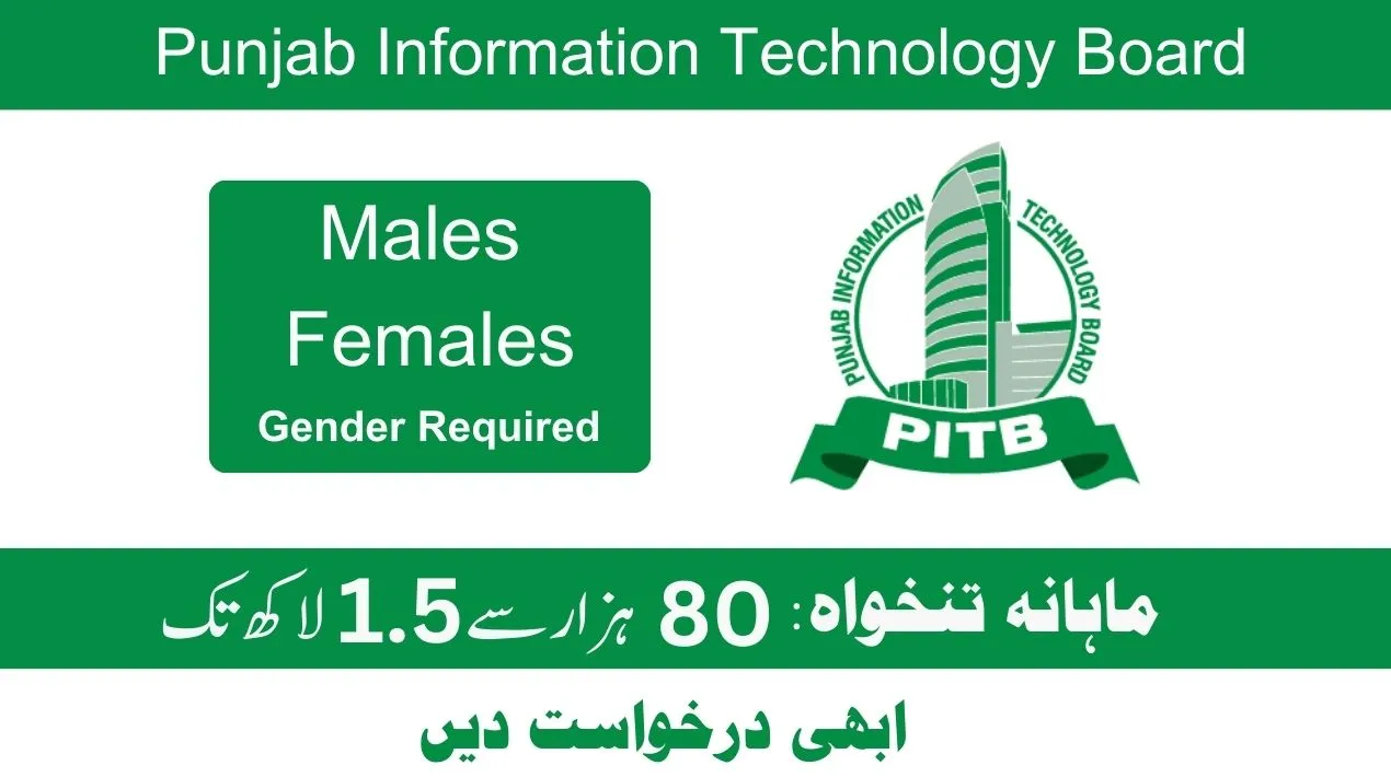 Punjab Information Technology Board PITB Jobs 2024 Online Apply | www.punjab.gov.pk